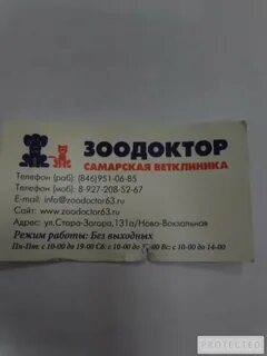 Зоодоктор