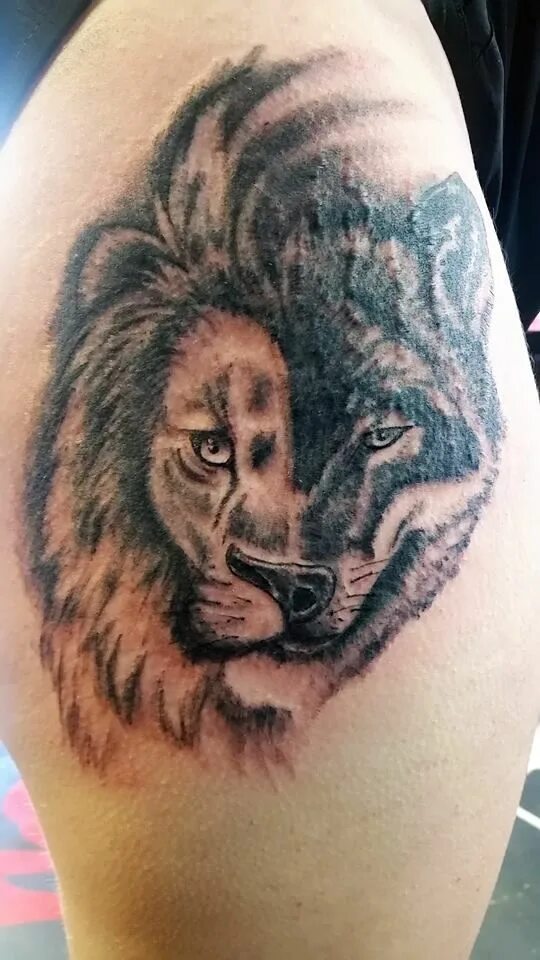 Эскиз волк со львом. Волк трайбл обои на рабочий стол. Тату волк лев. Тату лев и волк. Эскиз волк со львом.