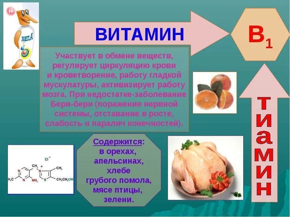 Витамины б 12 б 6 и 1. Витамин в1 источники витамина для организма человека. Витамин b1 тиамин источники. Витамин б1 б2 б6. Витамин п 1