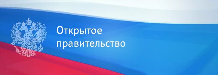 Организация открытое правительство