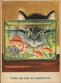 Котенок читательский