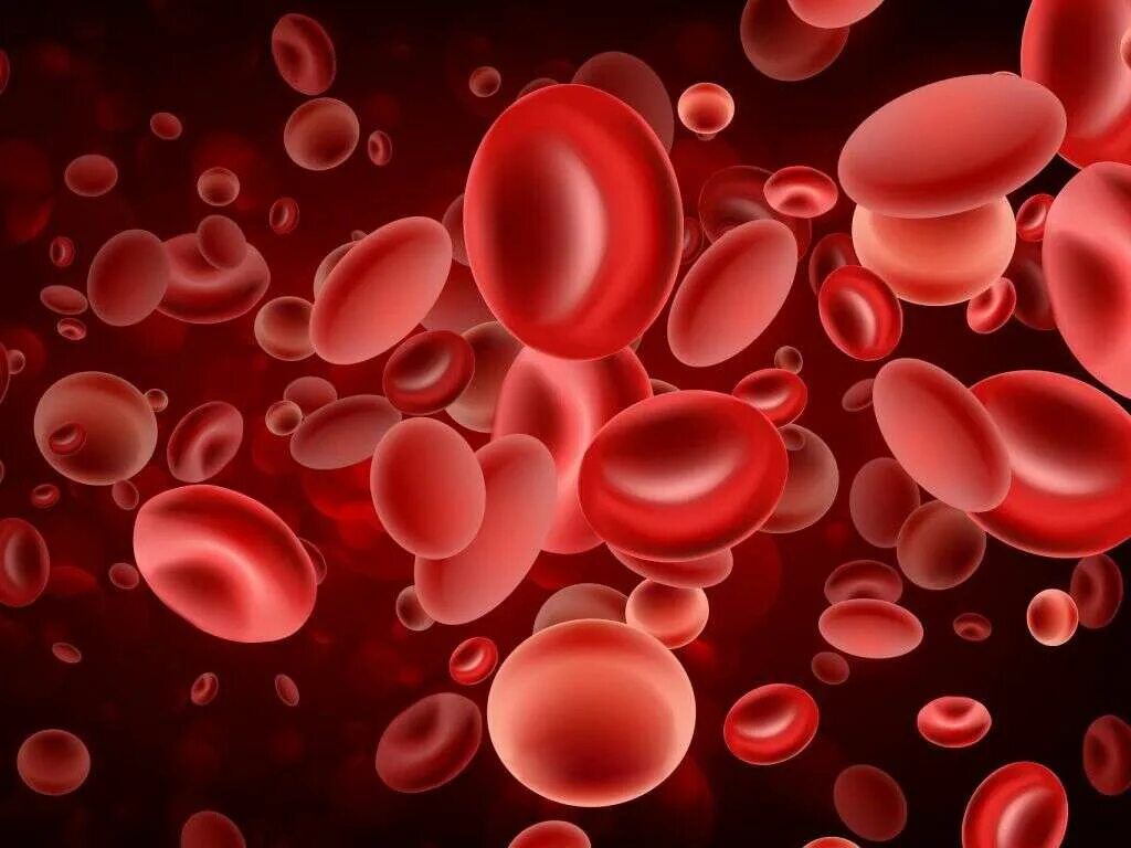 Клетки крови. Кровяные тельца. Красные тельца в крови. Красное кровяное тельце.