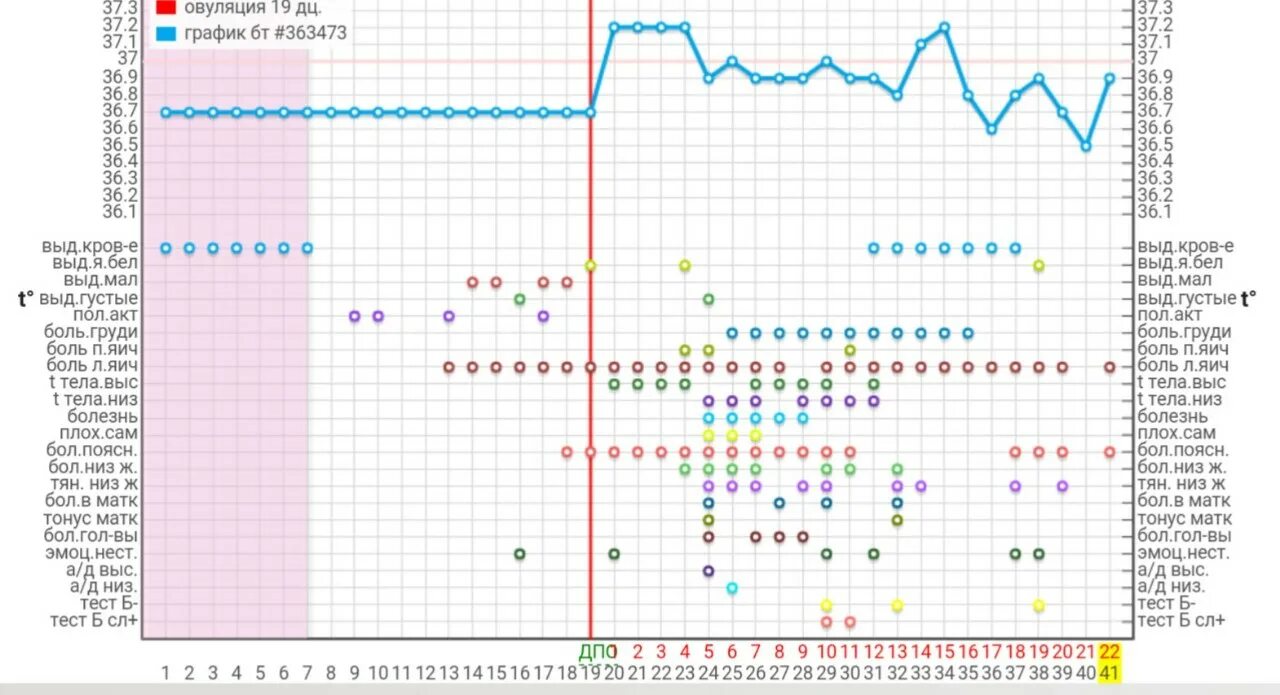 Через сколько дней можно забеременеть после овуляции. Календарь овуляции. Календарный график овуляции. Таблица подсчета овуляции. Овуляция по циклу таблица.