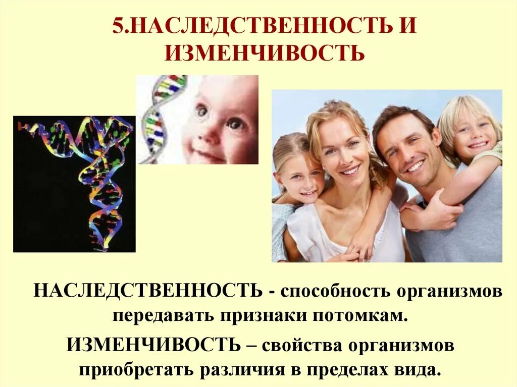 Наследственность. Наследственность организмов. Наследственность и изменчивость. Наследственность и изменчивость организмов.