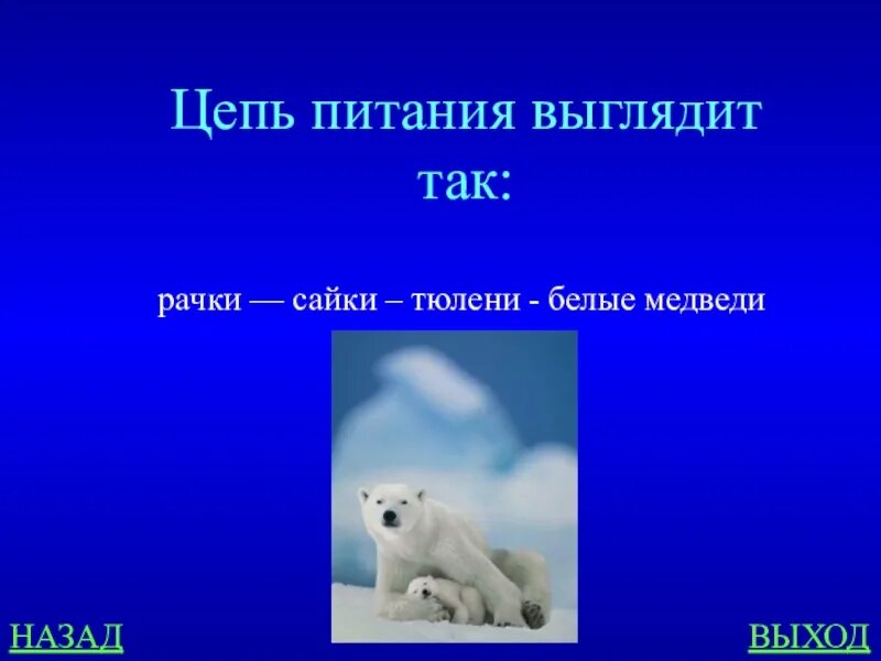 Цепь питания арктической пустыни 4 класс схема Цепь питания в субтропиках фото