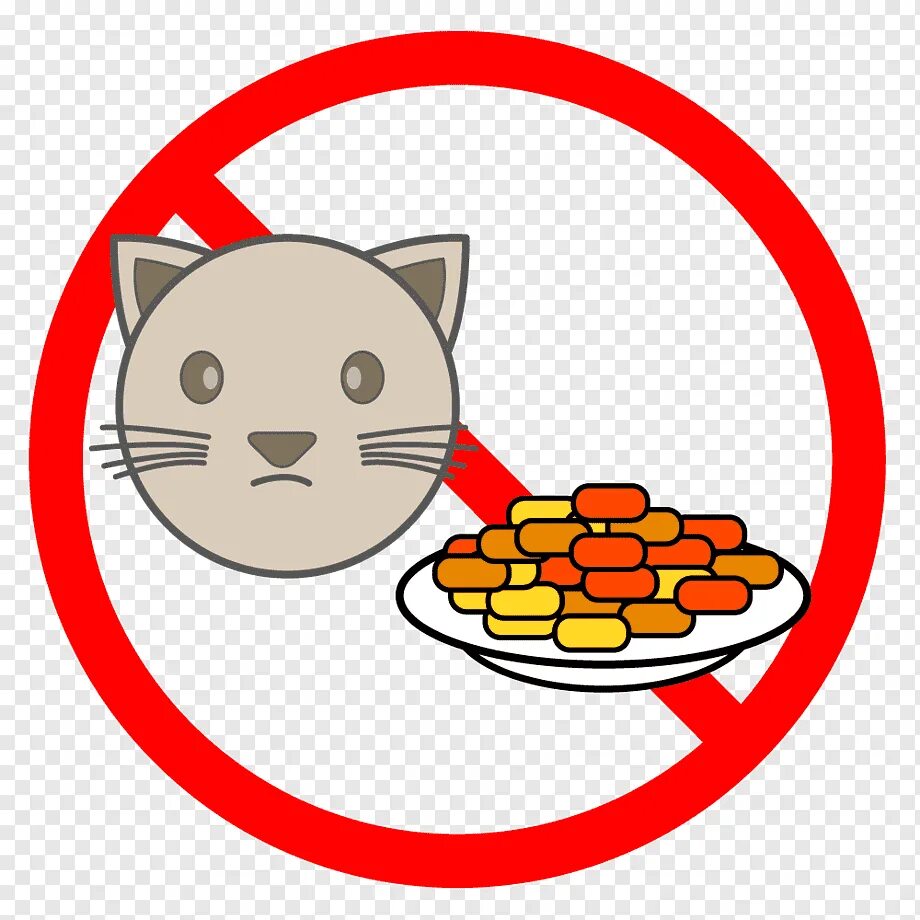 Что можно кошкам из еды. Кот и еда. Еда для кошек. Котик с едой. Запрещённые корма для кошек.