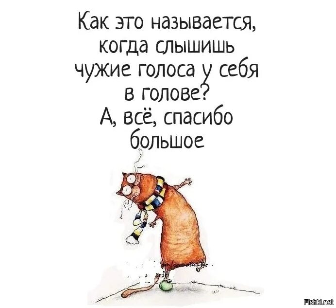 Что значит слышать голоса. Голоса в голове прикол. Шутки про голоса в голове. Анекдот про голоса в голове. Как называется когда слышишь чужие голоса в голове.