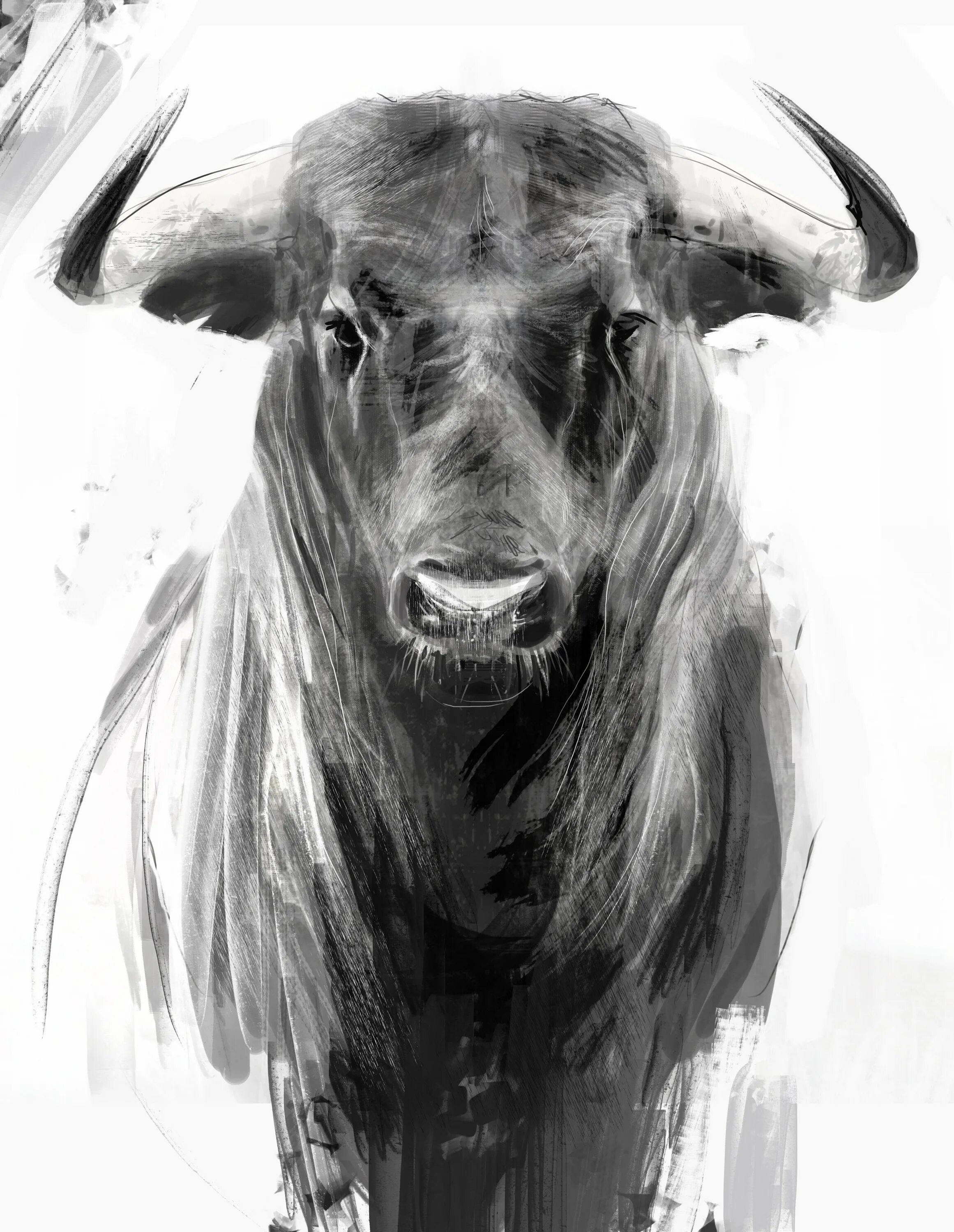 бык торо картины. крик быка. красивый бык. таурус бык телец. красивый бык рисунок.