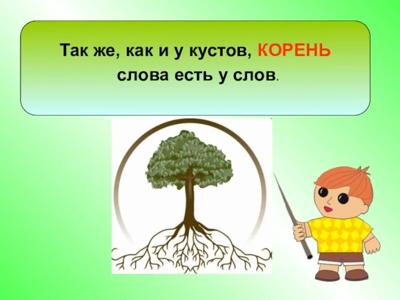 Корень слова 2 класс перспектива. Корень это 2 класс. Корень слова картинка. Родственные слова для дошкольников в картинках. Тема корень слова.