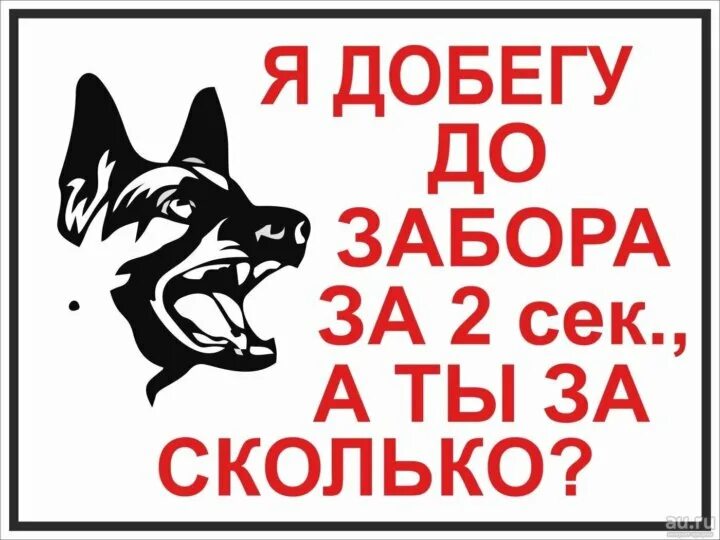 Добежав до забора собака опять мгновенно разворачивается. Осторожно, злая собака!. табличка осторожно злая собака. надпись злая собака. во дворе злая собака табличка.
