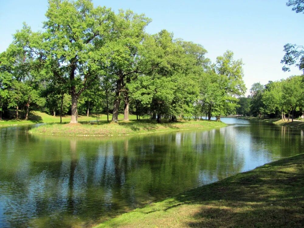 Пруд с островом. Островок на пруду. Ландшафтная архитектура сада пруд. Водоемы в ландшафте. Пруд с островом.