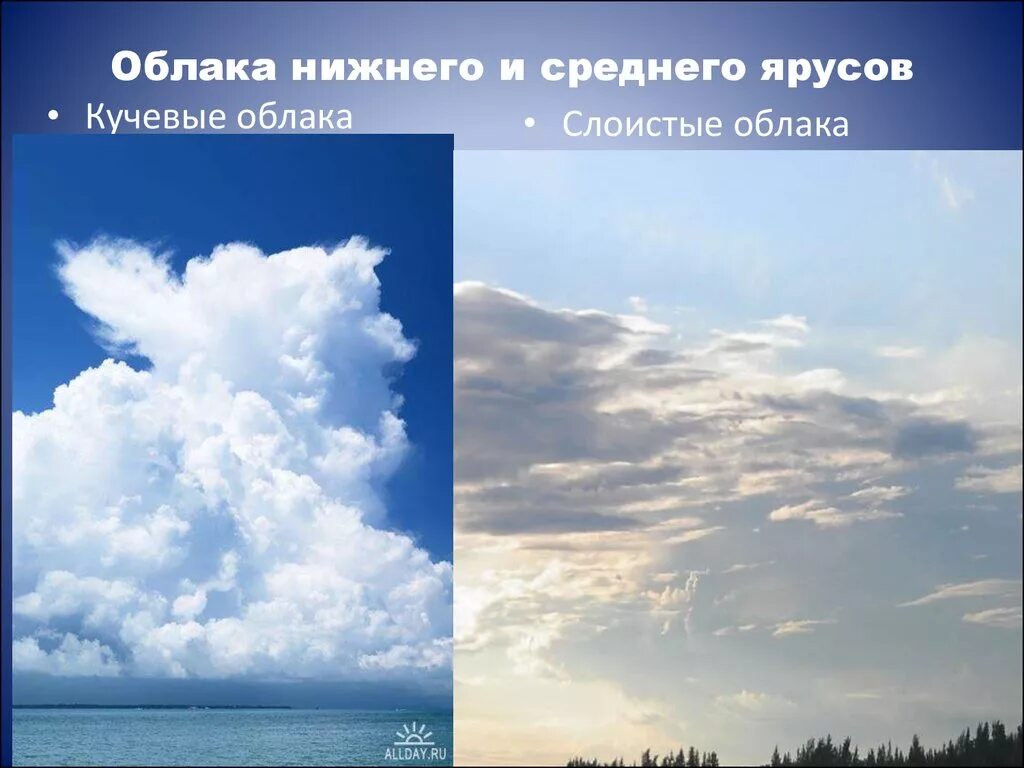 Средняя высота облаков. Облака Нижнего яруса. Кучевые облака Нижнего яруса. Формы облаков Нижнего яруса. Облачность Нижнего яруса.