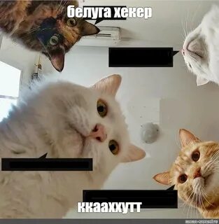 Постоянно пунькают