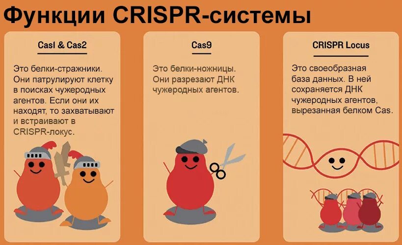Кас функции