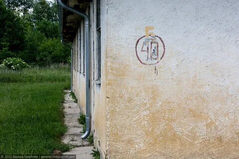 Деревня 56
