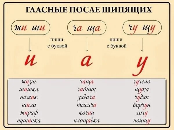 Какая буква чист. Гласные после шипящих. Правописание гласных после шипящих согласных. Гласнеые послешипящих. Гласныепосоле шипящих.