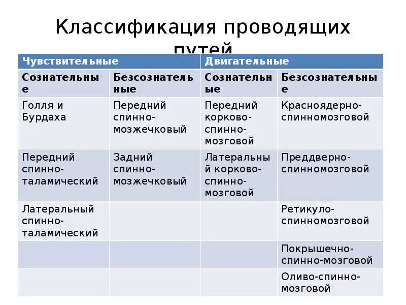 Проводящие пути функции. Проводящие пути функции