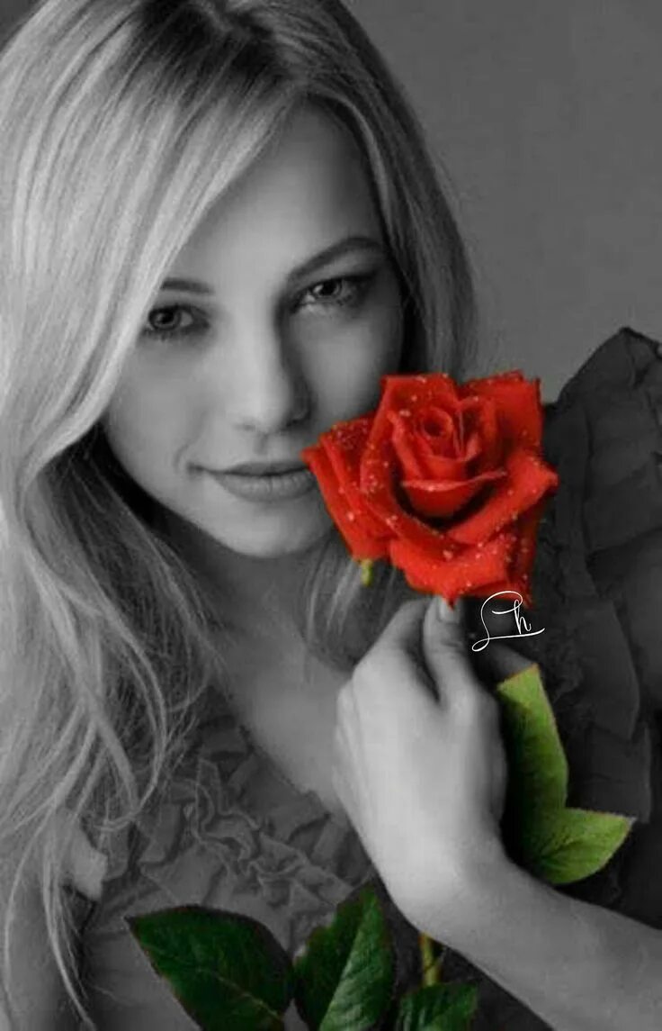 Очаровательная девушка 8. Красивые девушки блондинки. Девушка с розой. Красивая женщина. Блондинка с розами.
