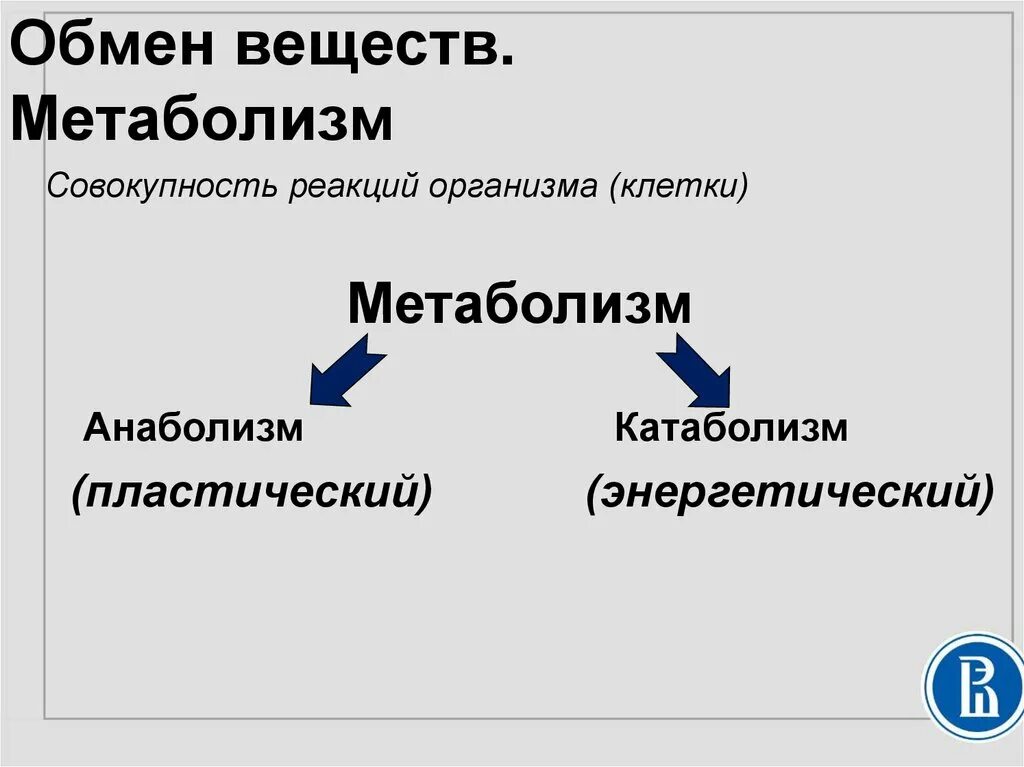 Метаболизм презентация. Направления метаболизма. Метаболизм клетки. Совокупность реакций пластического обмена