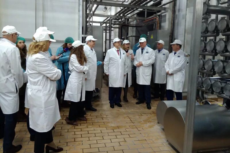 Завод молвест в калаче. Завод молвест воронеж. Калачеевский сырзавод молвест. Завод молвест воронеж. Калачеевский сыродельный завод.