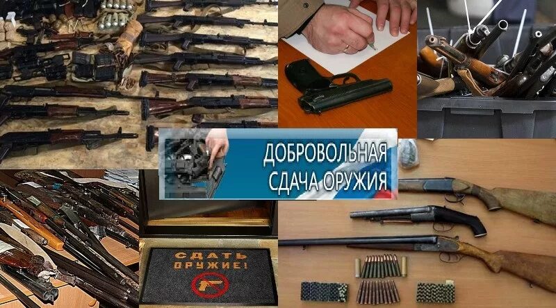 Добровольная сдача оружия. Добровольная сдача оружия и боеприпасов. Добровольно сдал оружие. Сдача оружия за вознаграждение.