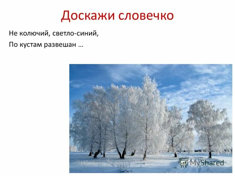 Светло синий иней. Не колючий светло синий автор. Загадка про иней. Не колючий светло синий автор. Не колючий светло-синий по ветвям развешан иней погляди.