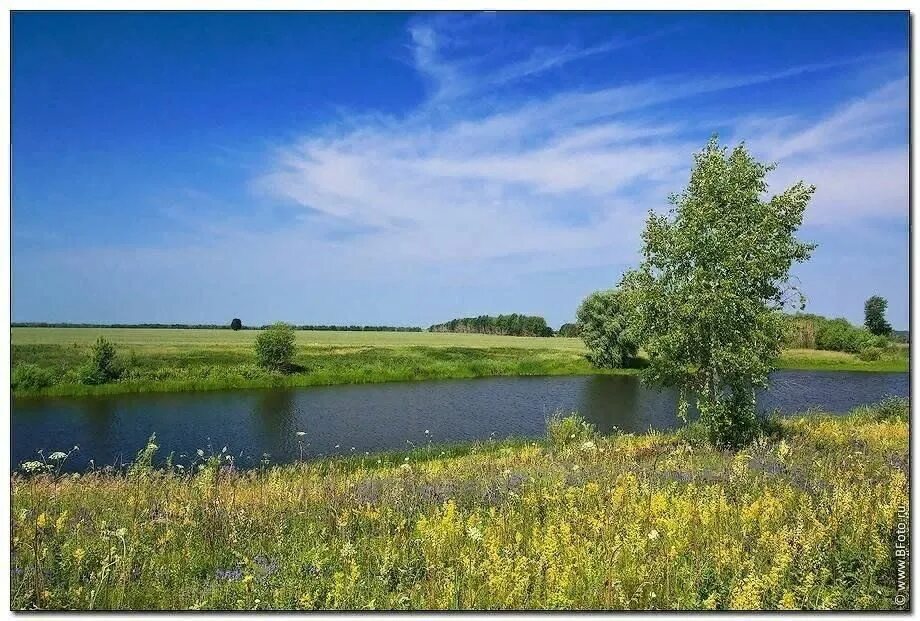 Родной край. Природа нашей Родины. Красота моей Родины. Красота Донского края. Красота родного края рассказ