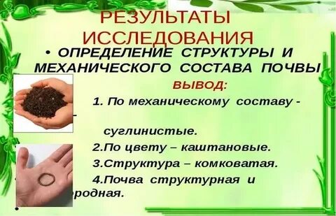 Понятие и определение почвы