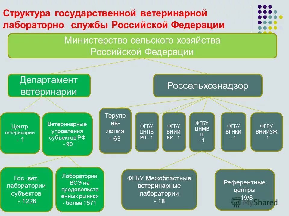 мвд это кратко. обращение 5 в гаи через госуслуги. основные задачи мвд. органы контроля в сфере образования. в какое ведомство обращаться.