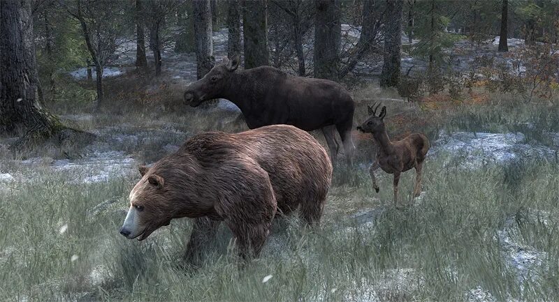 Игра the hunter classic. Зе хантер классик охота. The hunter classic животные. Виртуальный охотник. The hunter classic красная рысь.
