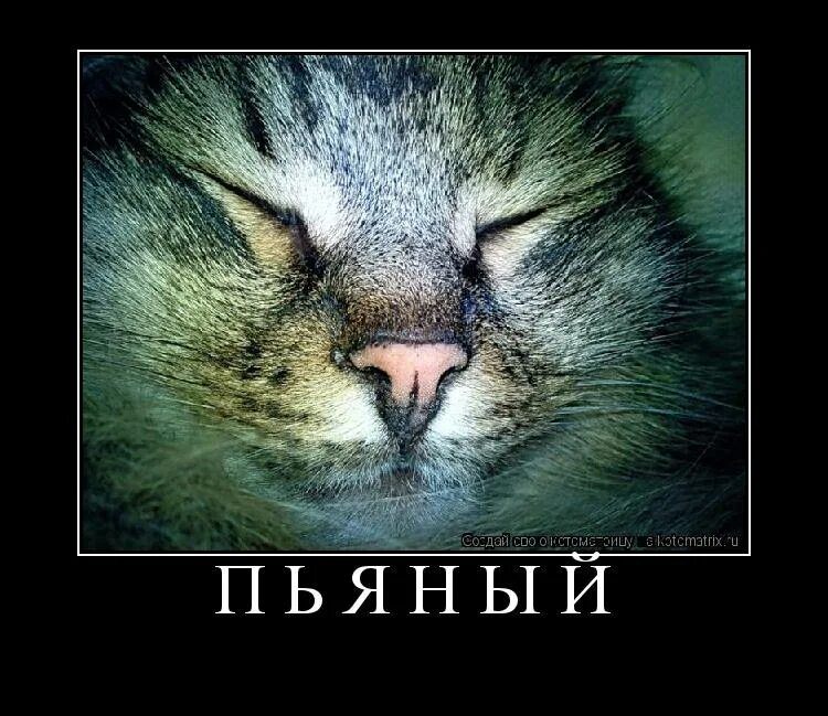 Мурка страсть по русски. Картины мурка. Джаник файзиев мурка. Мурка. Мурка страсть по русски.