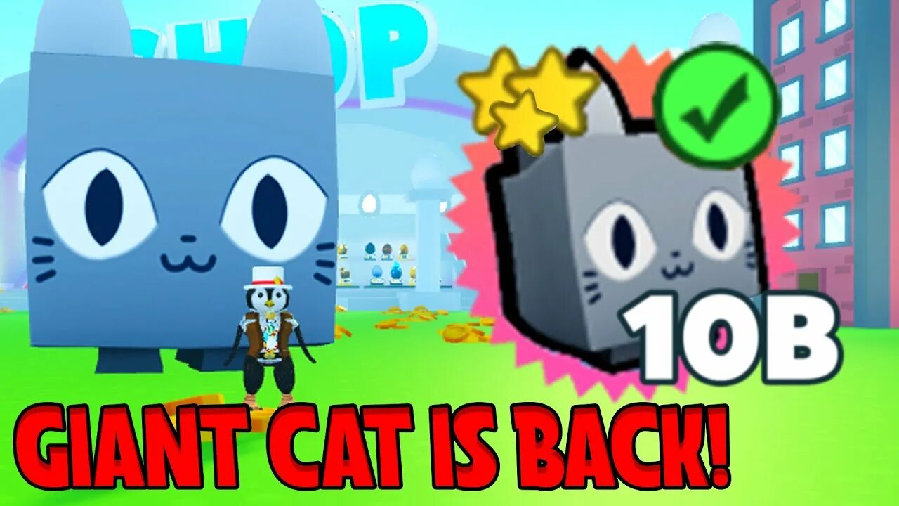 Pet simulator 1. Петы Кэт симулятор. Фестиваль Кэт в пет симулятор. Хуг кет пет симулятор x. Хьюго Кэт пет симулятор.