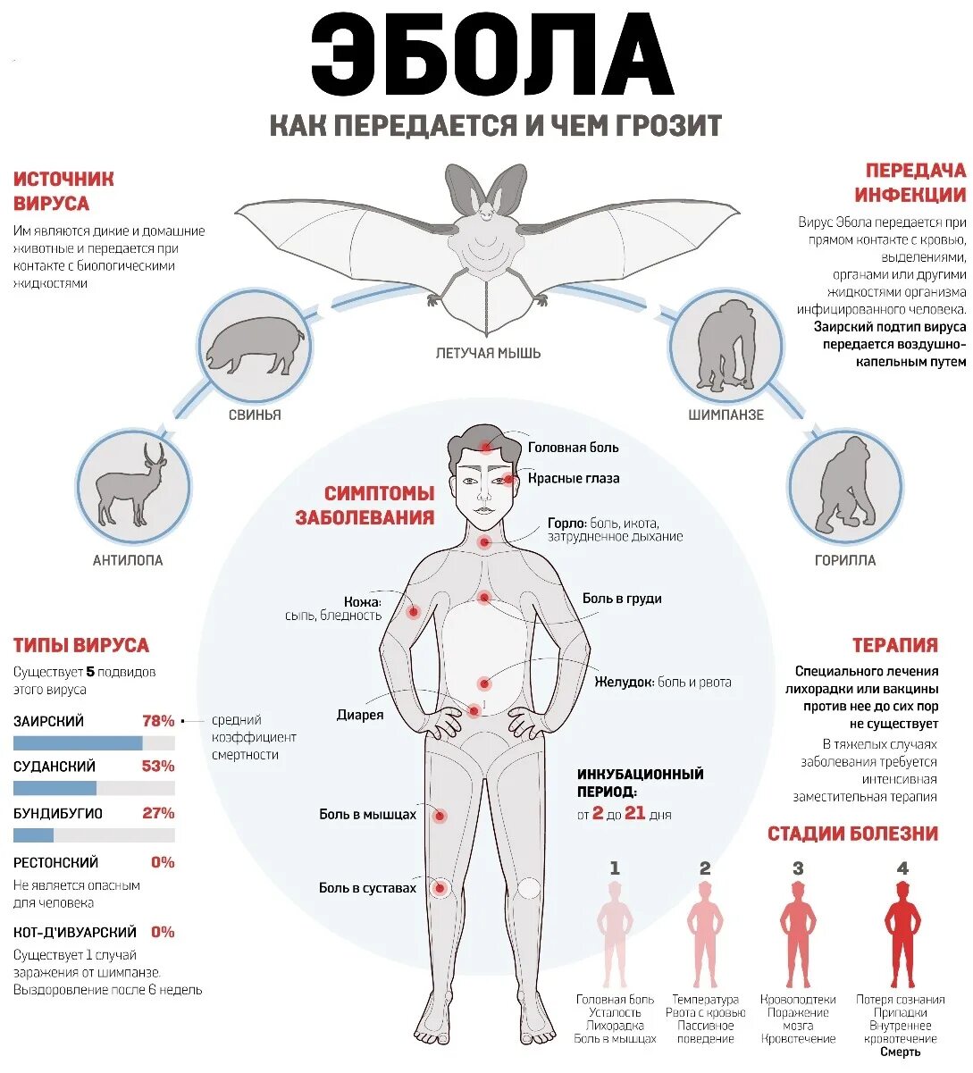 Клинические проявления лихорадки Эбола. Лихорадка Эбола источник заражения. Геморрагическая лихорадка Эбола симптомы. Какие болезни опасные для человека