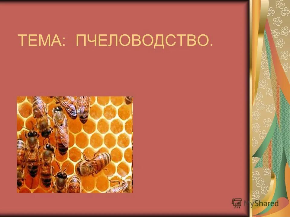Необходимо инвентарь для пчеловодства. Пасечник пчеловод. Руки пчеловода. Пчела инструменты. Оборудование пчеловода названия.