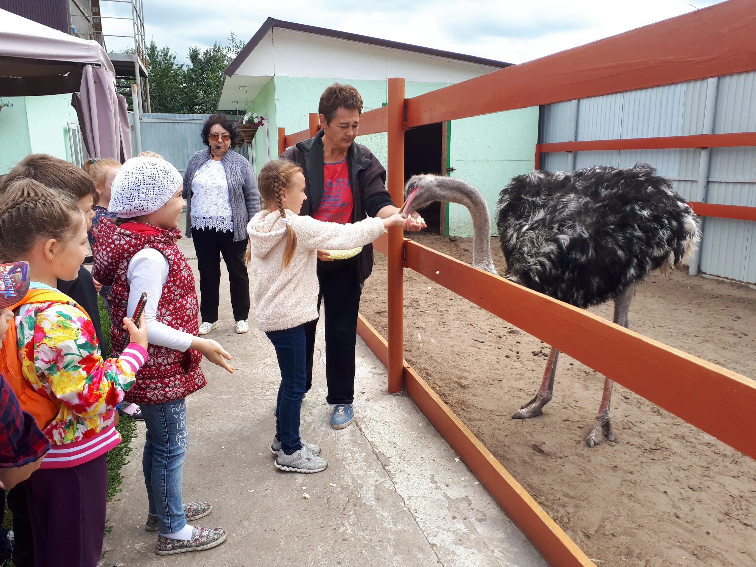 Контактный зоопарк сызрань. Контактный зоопарк сызрань. Контактный зоопарк сызрань. Птичья дача. Зоопарк сызрань птичья дача.