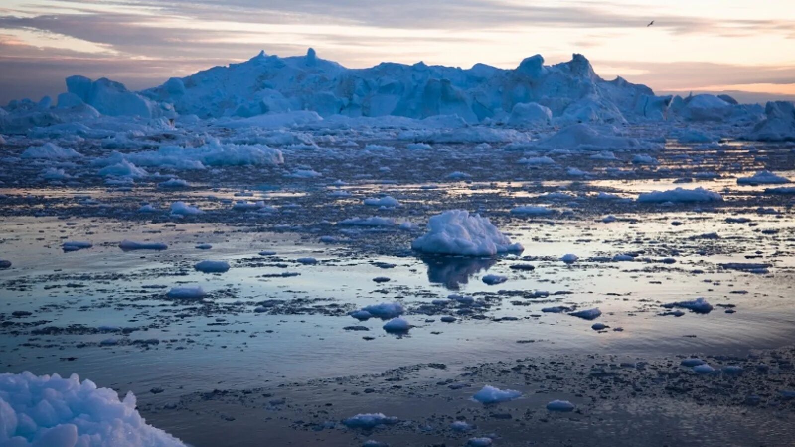 2 северный ледовитый океан. Арктика Северо Ледовитого океана. Океан Северный Ледовитый океан. Северный ядовитый океан. Севернодедовитый океан.