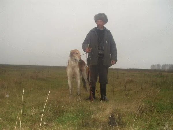 ростов земля вечной охоты. страна вечной охоты. видео охота на лося с иж полева 3. ростов земля вечной охоты. страна вечной охоты.