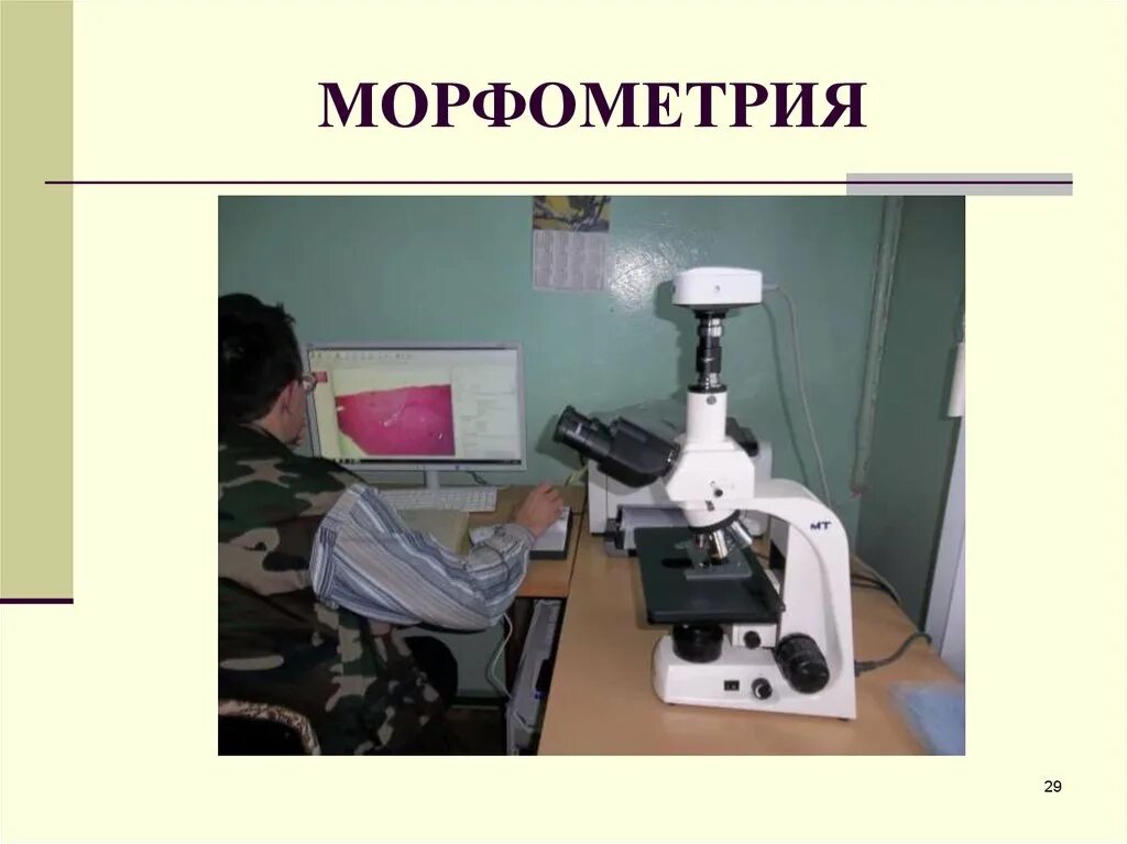 Методы исследования цитологии и гистологии. Гистологические методы исследования морфометрия. морфометрический метод исследования. морфометрические методы гистология. морфометрия в гистологии.