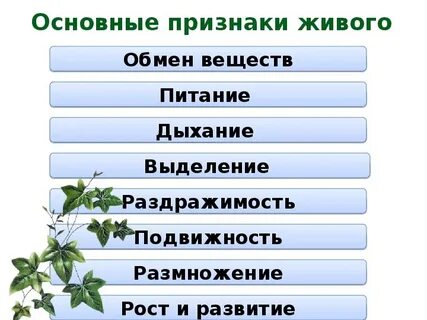 Свойство живого 5 класс биология ответы
