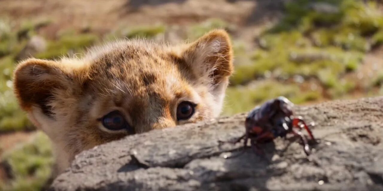 Lion king simba 2019. Король лев трейлер на русском. Король лев трейлер на русском. Король лев трейлер на русском. Король лев афиша.