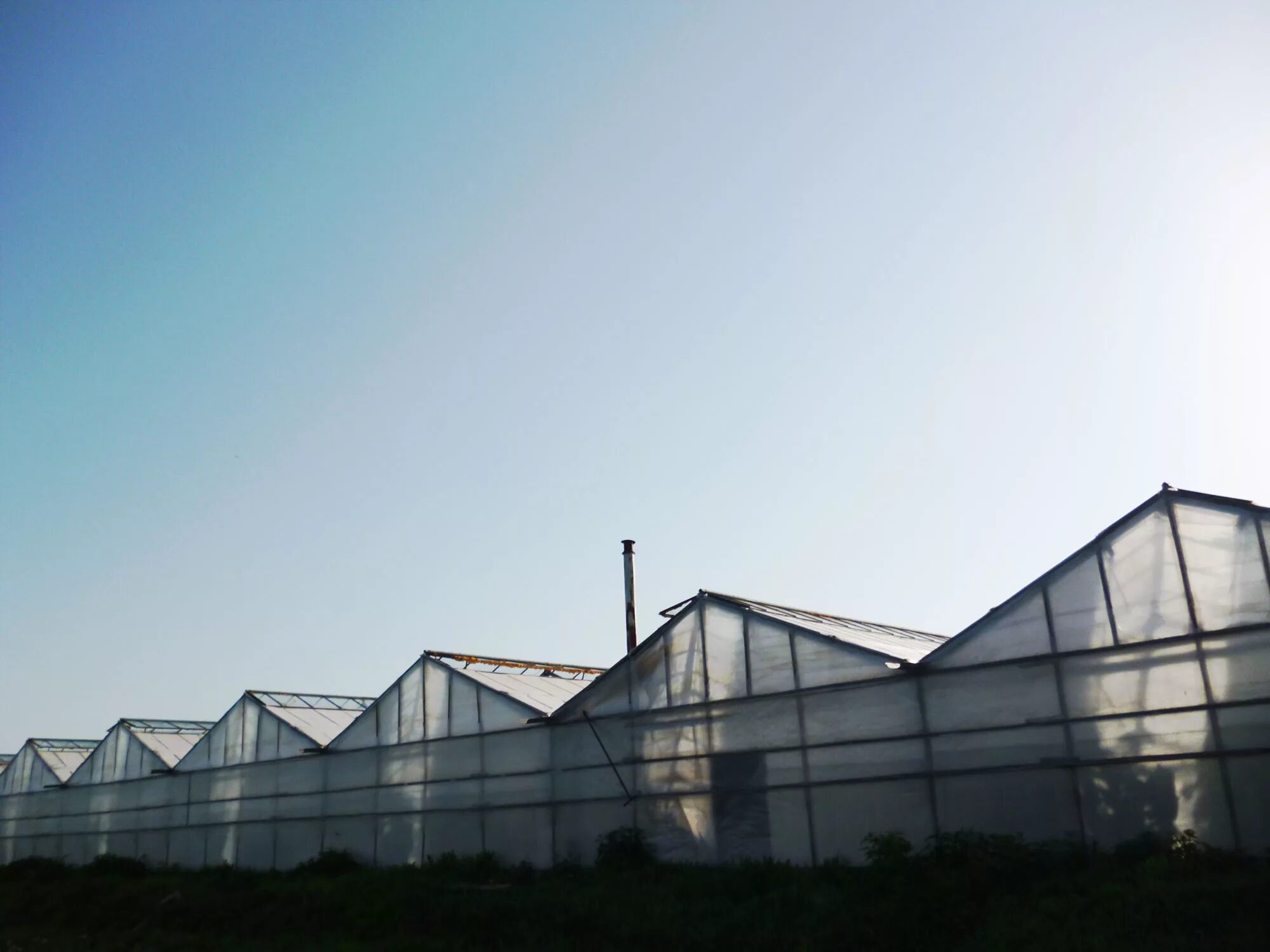 теплицы родина семилукский район. бобровский тепличный комплекс воронеж. воронежский тепличный комбинат нина. тепличный комплекс воронежский бобров. тепличный комплекс воронежский.