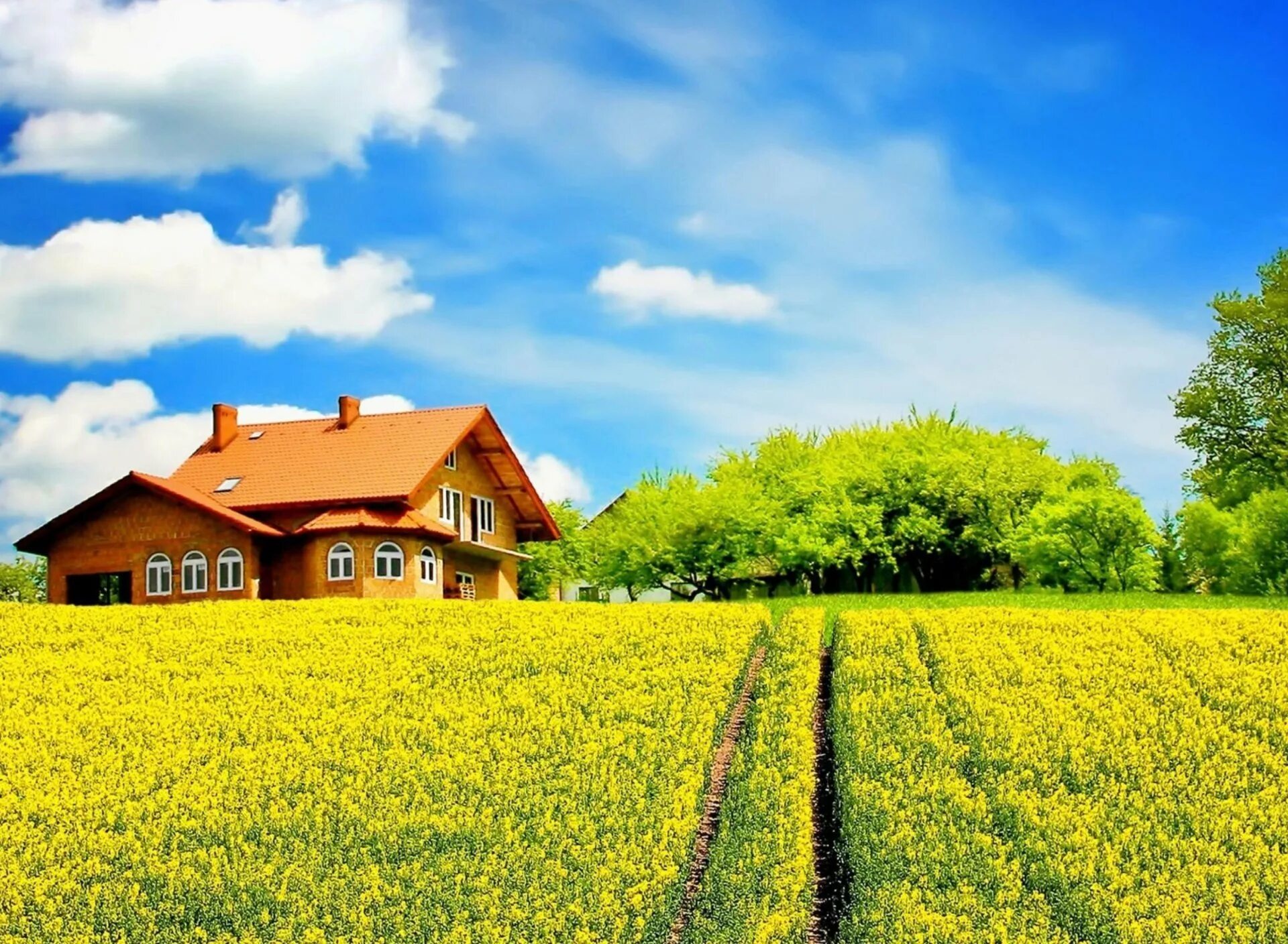 Деревенский пейзаж. Проселочная лесная дорога. Панорама деревни. Холмистая равнина тоскана. Дома природа.