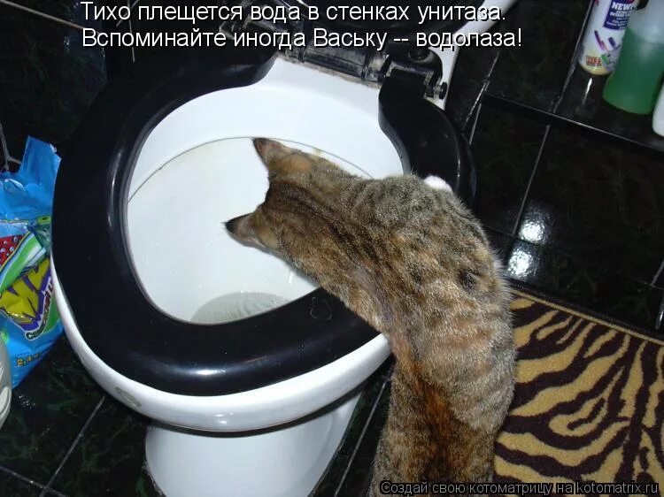 Физминутка тихо плещется вода для дошкольников. Физминутка тихо. Тихо плещется вода голубая лента текст. Презентация на тему водоемы. Тихо плещется вода.