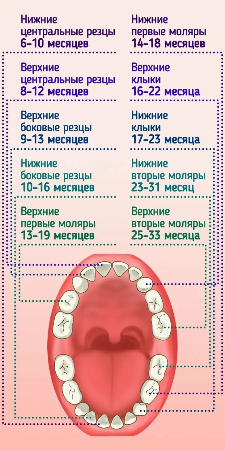 Имплантация верхних зубов Стоматология Dентал Мир