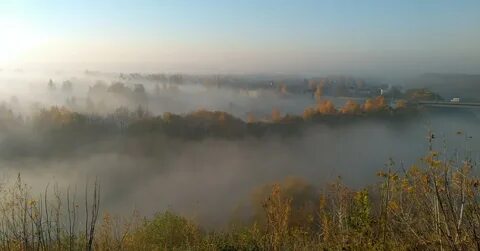 Калины цвет и туман над водой