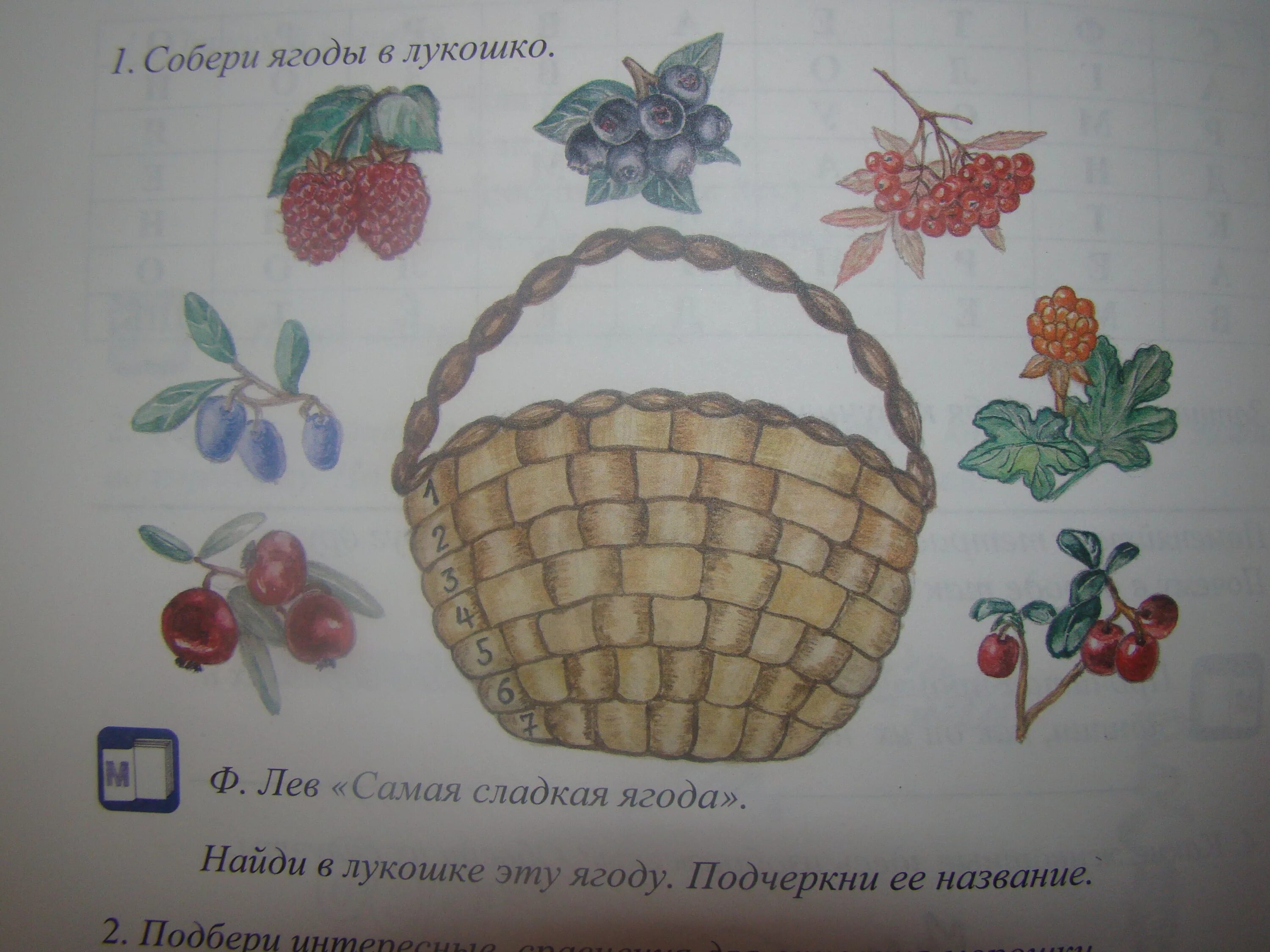 Лукошко значение слова. Собери ягоды в лукошко. морянка 2 класс рабочая тетрадь ответы. морянка 2 класс рабочая тетрадь полякова архангельск. тетрадь морянка.