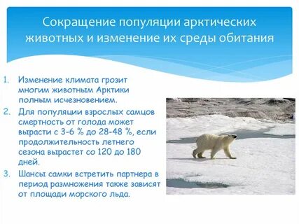 Какая экологическая проблема существует в арктике