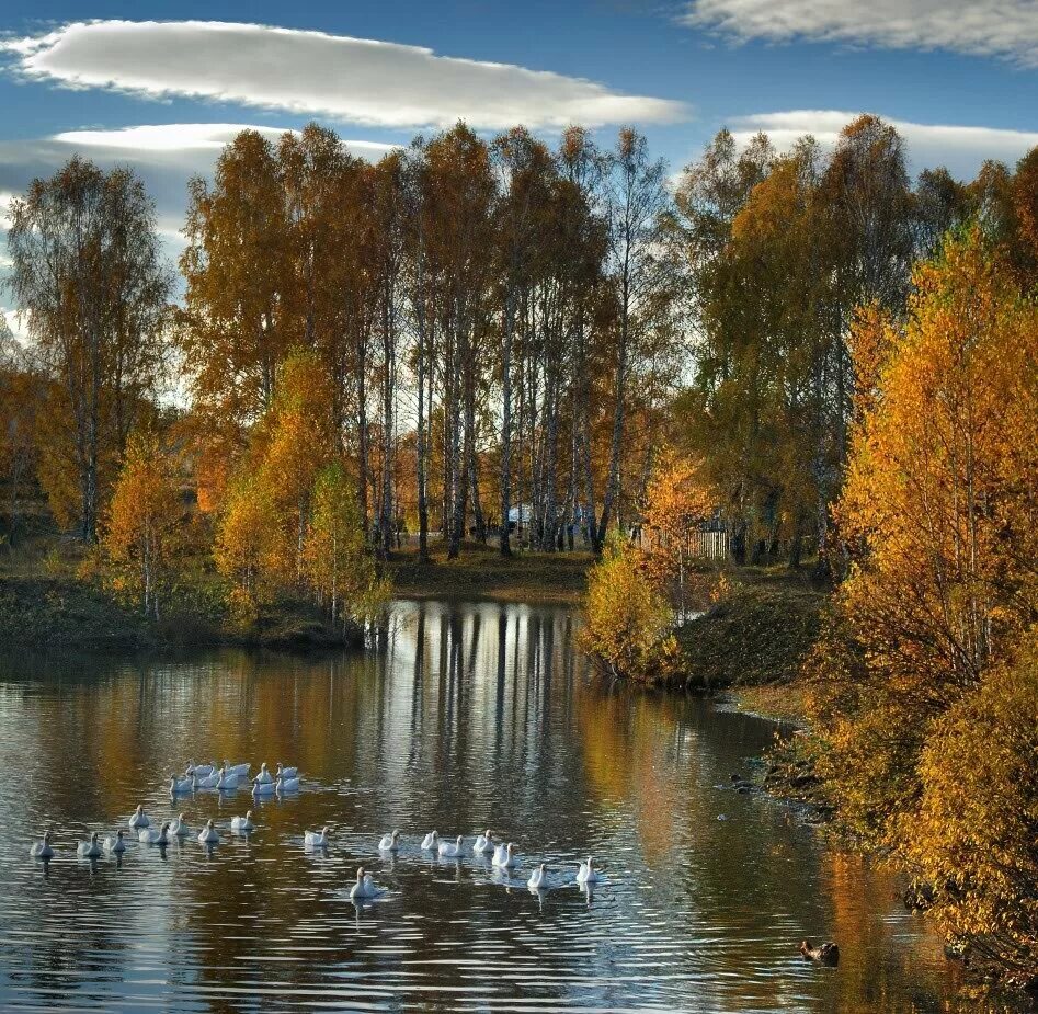 Хороший осени картинки. Осенний пейзаж. Осень в деревне. Золотая осень пейзаж. Осень озеро.