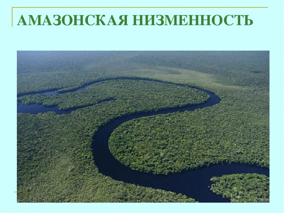 В каком направлении происходит понижение амазонской низменности. Южная Америка Амазонская низменность. Равнина Амазонская низменность. Бразилия Амазонская низменность. Территория амазонской низменности.