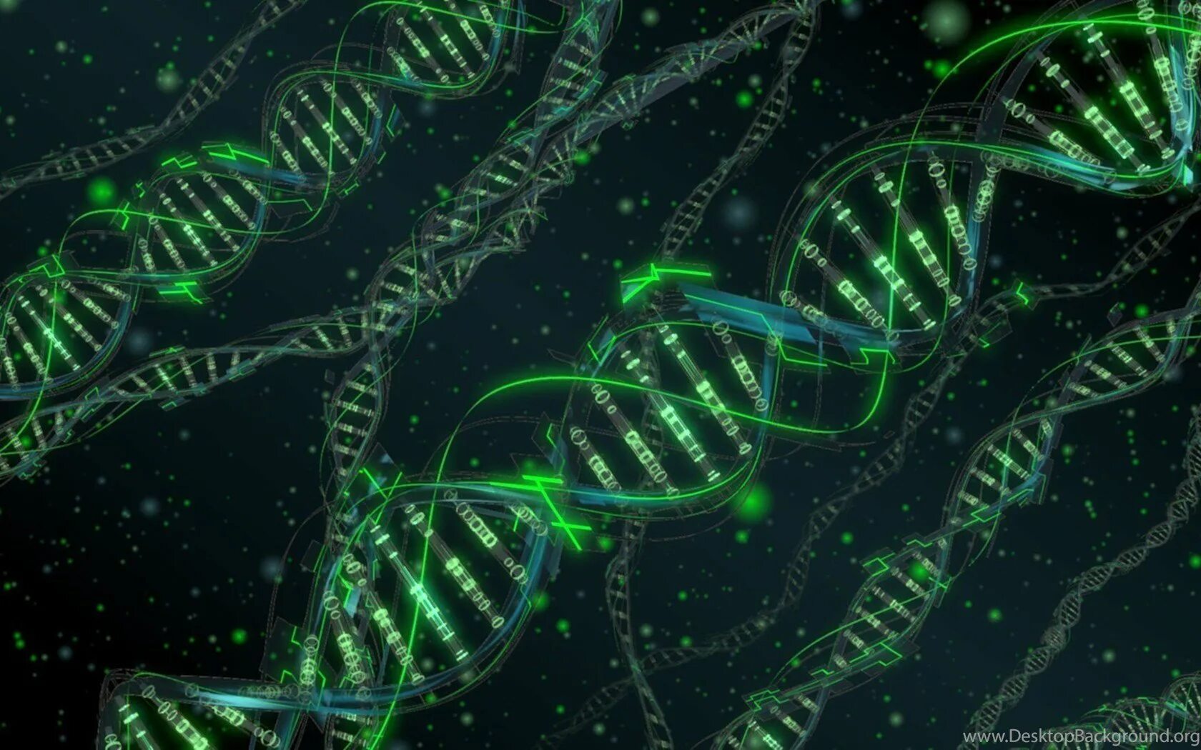 Нить днк. Хромосомы. Биология на 3. Биология на 3. Молекула днк.